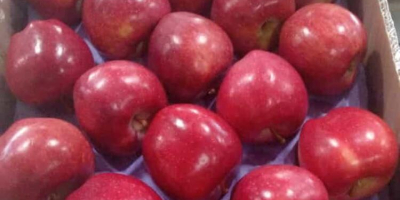Sales of different varieties of apples from Turkey began,