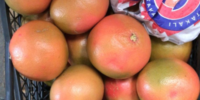 продажба на грейпфрут от Турция Доставка директно от склада.