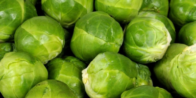 Brussels sprouts (in 500 gram bags) Caliber - 30-41