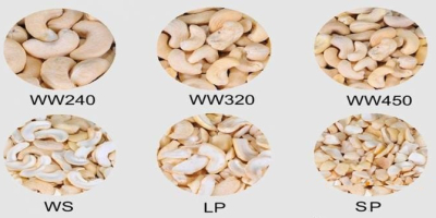 COMMODITY SPECIFICATIONS (1). Cashew Kernels -Contents; WW320 -Colour: White
