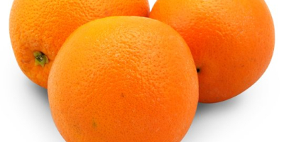 BIO Pomarańcze z lokalnej rodzinnej farmy pochodzącej z regionu