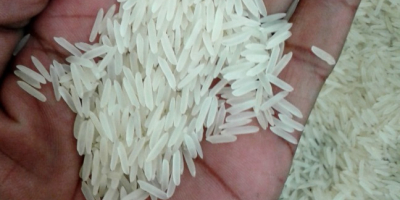 1121 Sella Basmati Langkorn Premium Reis Verpackung: 10 kg