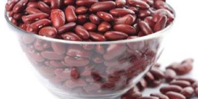 Fresh harvest green mung beans, kidney beans for export