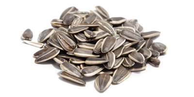 Слънчогледовите семена са здравословна лека закуска, традиционна закуска и