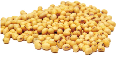Ukraine has cultivated soybeans since ancient times. Soybean has