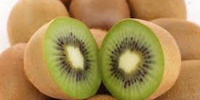 Kiwifruit or Chinese gooseberry is the edible berry of