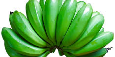 Matooke in verschiedenen Größen und Banane in allen Größen