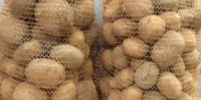 I will sell vignette potatoes - general purpose variety.