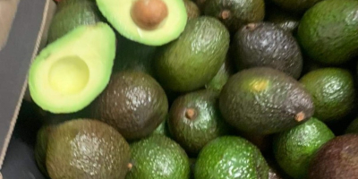 Hello, I have Avocado Hass for sale in bulk.