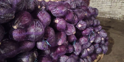 The Ukrainian company Akcent-Miasto draws attention to red cabbage.