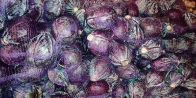 The Ukrainian company Akcent-Miasto draws attention to red cabbage.