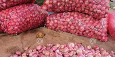 A Grade Red Onion, Packaging Size: 50 Kg, Onion