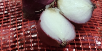 Fresh onions from MYANMAR Grade A Size 3 to