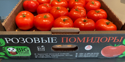 The Bigstore agrofirm offers an ecologically clean product, tomatoes
