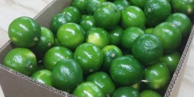 We can supply the following. Tahiti Limes conventional and