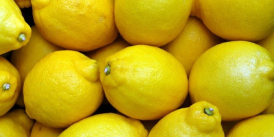 Ich werde Zitronen in loser Schüttung verkaufen. Herkunftsland: Spanien,