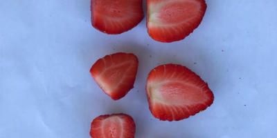 The Egyptian producer of frozen strawberries will sell large