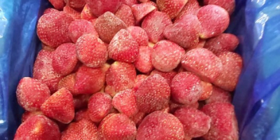 Der ägyptische Hersteller von gefrorenen Erdbeeren wird für die