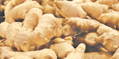 Fresh Ginger ready for export. Please contact me on