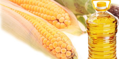 Refined Corn Oil Wholesalers - Reliable Suppliers Refined Corn