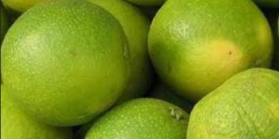 Fresh organic lemons from Uganda