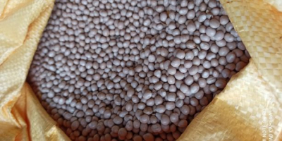 I am interested in buying buckwheat. Buckwheat with a