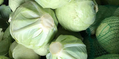 Class 1 white cabbage Head weight: from 0.8 kg