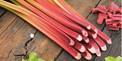 I will sell a rhubarb. Possible delivery in Krakow
