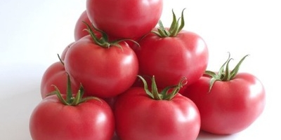 A beautiful tomato from Greece, straight from Thessaloniki, wholesale