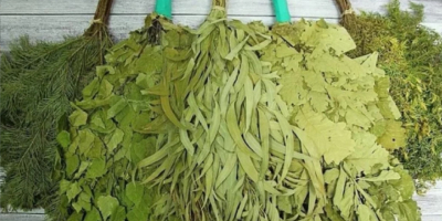 We are looking for suppliers of whole herbs: leaves