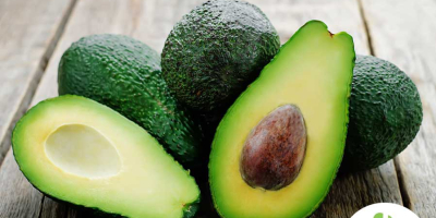 Buy AvocadosThe Hass Avocado has an oval shape and