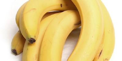 Produktname Frische Cavendish Banane Große Größe aus der Türkei