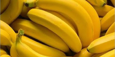 Product name Fresh Cavendish Banana Big Size From Turkey