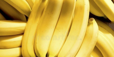 Product name Fresh Cavendish Banana Big Size From Turkey