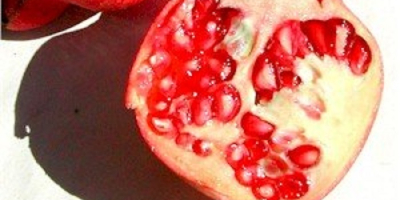 Frischer Granatapfel aus 100% natürlichen roten Früchten zum Verkauf