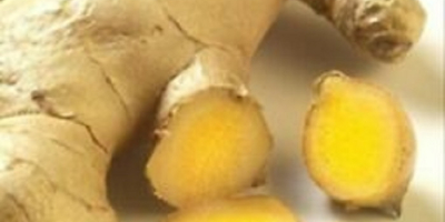 Portocale selectate și colectate cu grijă din plantațiile de