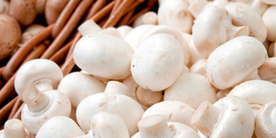 Ciuperci congelate proaspete și albe de calitate superioară Denumire