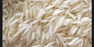 Below are available rice varities with us:- Basmati Rice