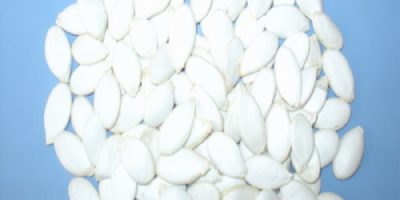 snowProduct name raw snow white pumpkin seeds Broken 3%