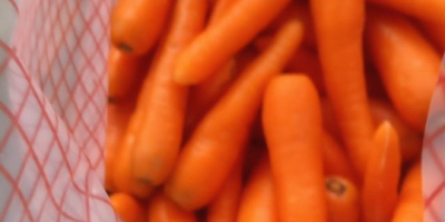 Fresh, juicy carrots. Origin: Egypt. Grown in the sand.