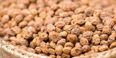 High quality tiger nuts (Chufa) available. We are able