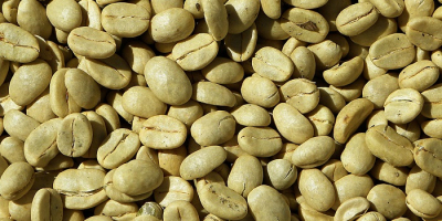 Grade :AAA Wholesale Certificate Arabica coffee beans Brand: oem