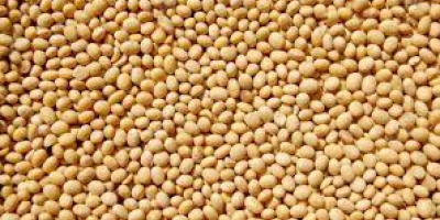 We are a supplier of agricultural products (soybeans, shea