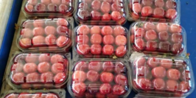 Cherry Нашите продажби започнаха с висококачествена нова реколта според