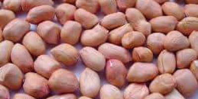 High quality soyabeans,maize, groundnut.