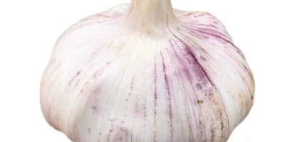 Knoblauch nährstoffreich: alle 100 g Wasser mit 69,8 g,