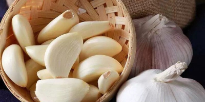 Knoblauch nährstoffreich: alle 100 g Wasser mit 69,8 g,