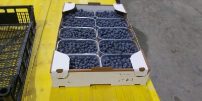 We regularly buy fresh blueberries at market prices. 3