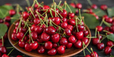 I sell artisanal cherries 5 kg 15 euros