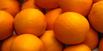 Nabel Orange: 44 , 48 , 56 , 64